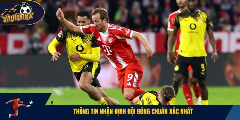 Thông tin nhận định đội bóng chuẩn xác nhất