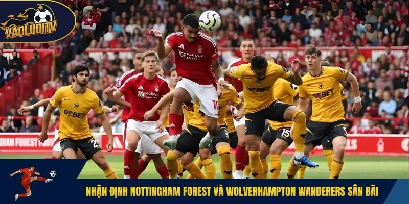 Nhận định Nottingham Forest và Wolverhampton Wanderers sân bãi